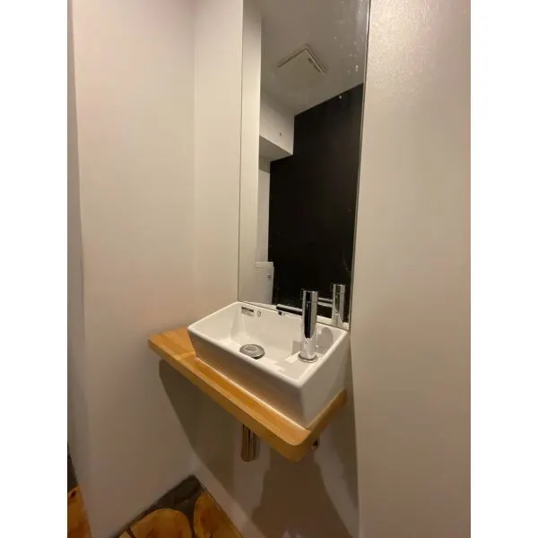 御徒町グリーンハイツ トイレの手洗場