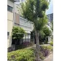 名古屋市中区金山３丁目 現地４（２０２６年７月撮影）