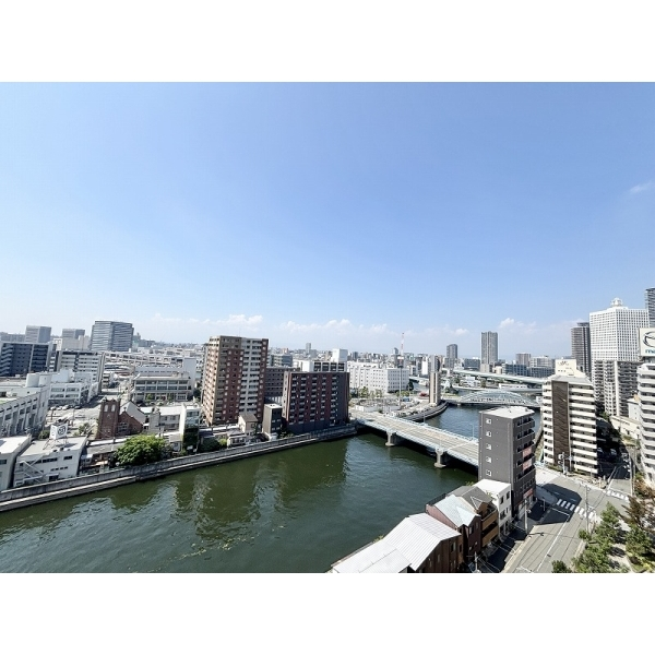 阿波座ライズタワーズ フラッグ46 その他画像