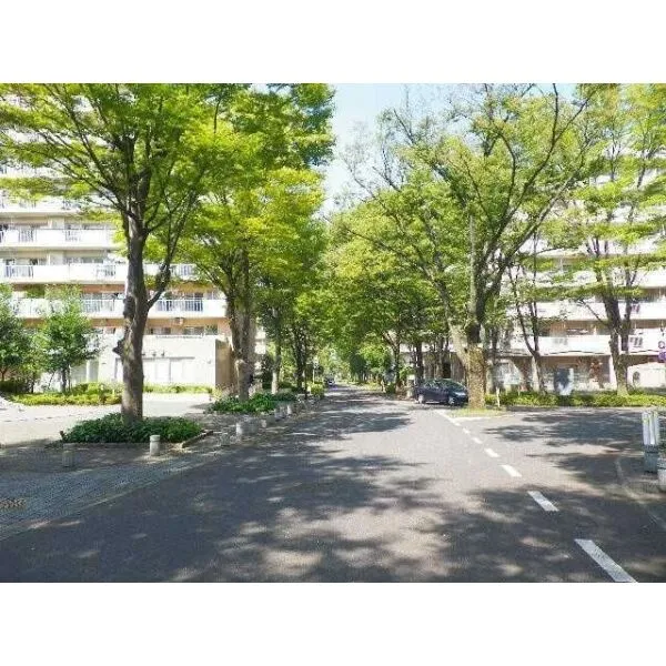 府中グリーンハイツ4号棟 前面道路