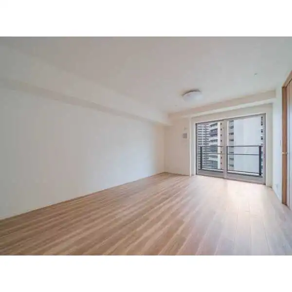 ＨＡＲＵＭＩ　ＦＬＡＧ　ＳＵＮ　ＶＩＬＬＡＧＥ　晴海フラッグＣ棟 その他画像