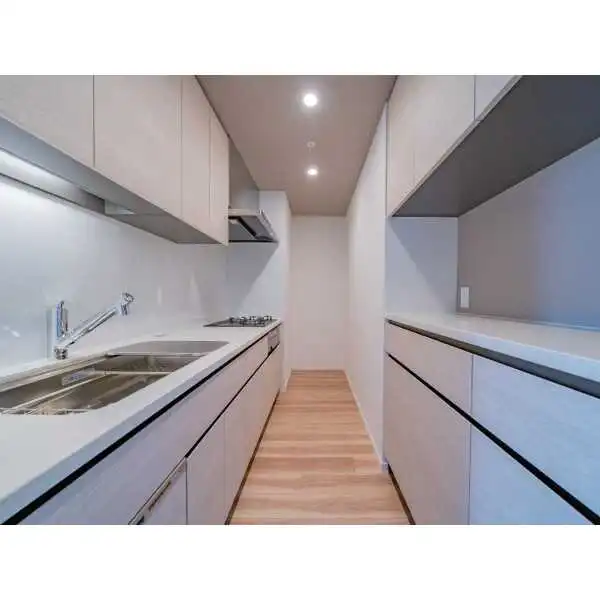 ＨＡＲＵＭＩ　ＦＬＡＧ　ＳＵＮ　ＶＩＬＬＡＧＥ　晴海フラッグＣ棟 その他画像