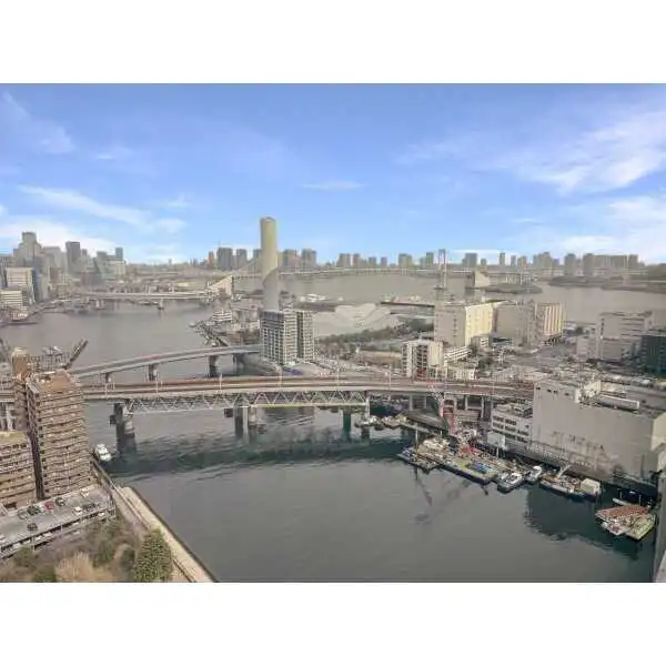 ワールドシティタワーズ　ブリーズタワー その他画像