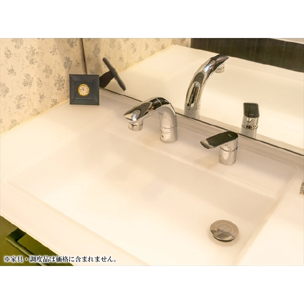 マジェス京都岡崎 洗面室