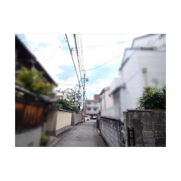 京都市北区等持院南町 その他画像