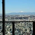 THE KOSUGI TOWER 眺望：リビングから（ズームあり）