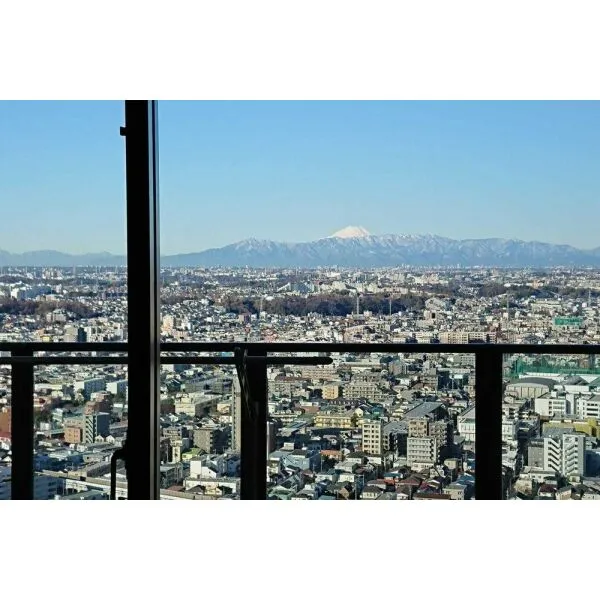 THE KOSUGI TOWER 眺望：リビングから（ズームあり）