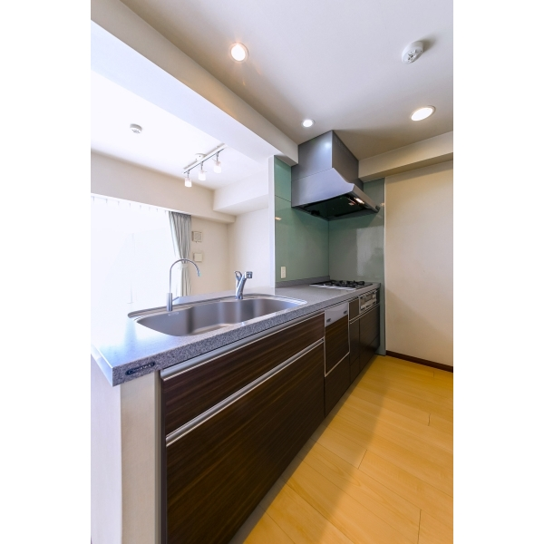 ライオンズ立石プライムマークス その他画像