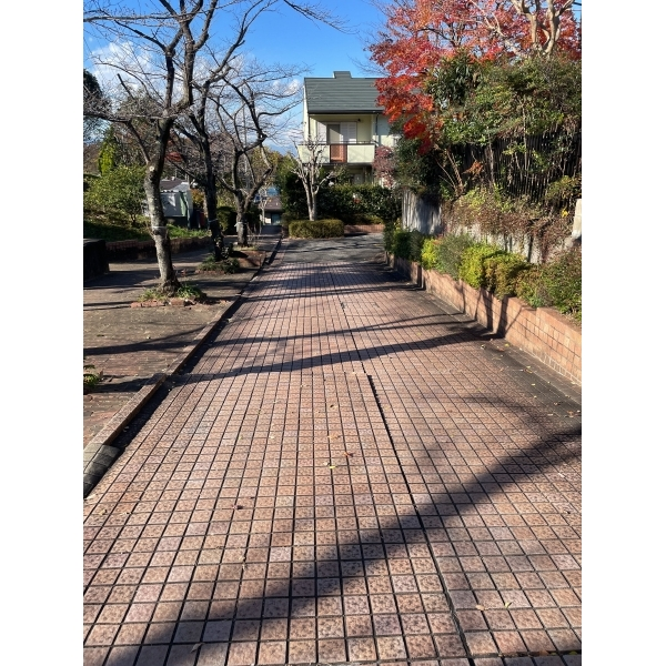 日野市南平１丁目 前面道路