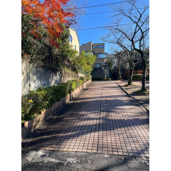 日野市南平１丁目 前面道路