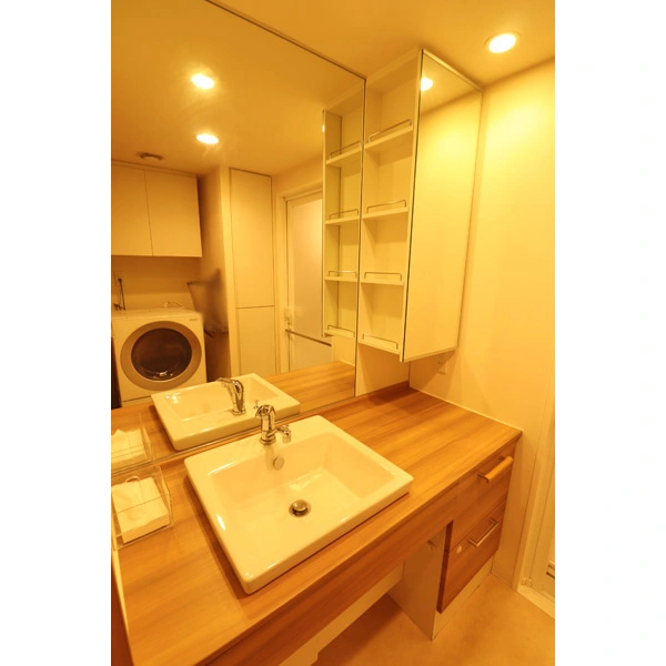 オーベルグランディオ柏 桜ヴィラ その他画像