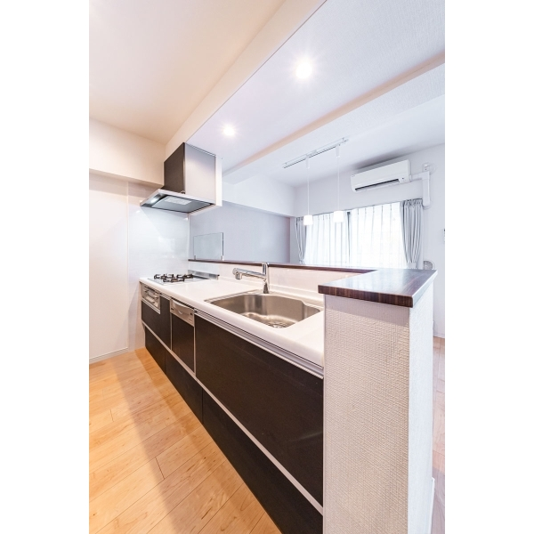 ライオンズシティ日暮里 その他画像