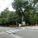 Ｊ．ＧＲＡＮ　ＴＨＥ　ＨＯＮＯＲ　下鴨糺の杜　参… 北側前面道路と周辺環境