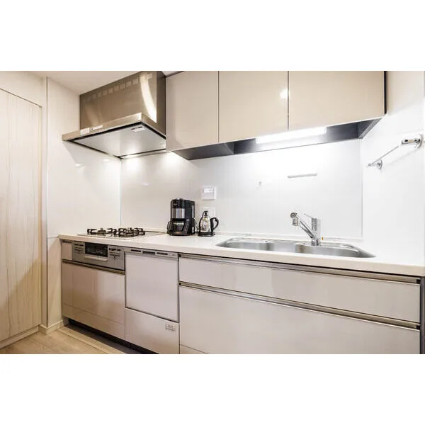 リビオレゾン新橋ｎｅｘ その他画像