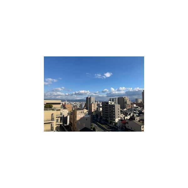 レジデンスタワー上本町 その他画像