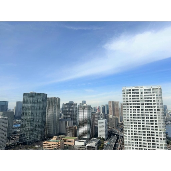 ワールドシティタワーズ その他画像