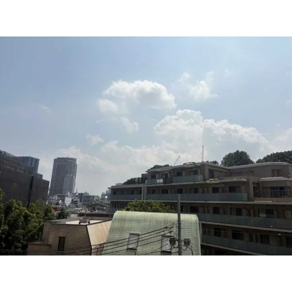 グランスイート麻布台ヒルトップタワー 眺望