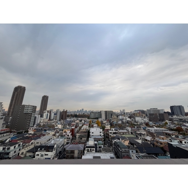 ライオンズステーションプラザ西大島 その他画像