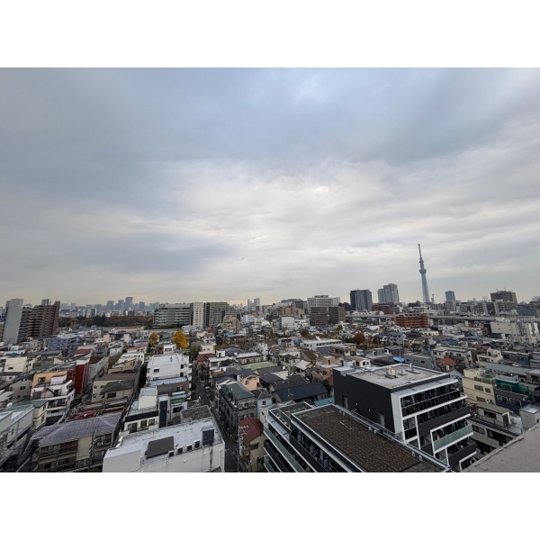 ライオンズステーションプラザ西大島 その他画像