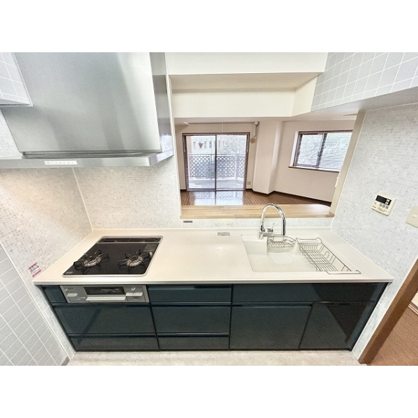 ダイアパレス平塚ステーションスクエア その他画像