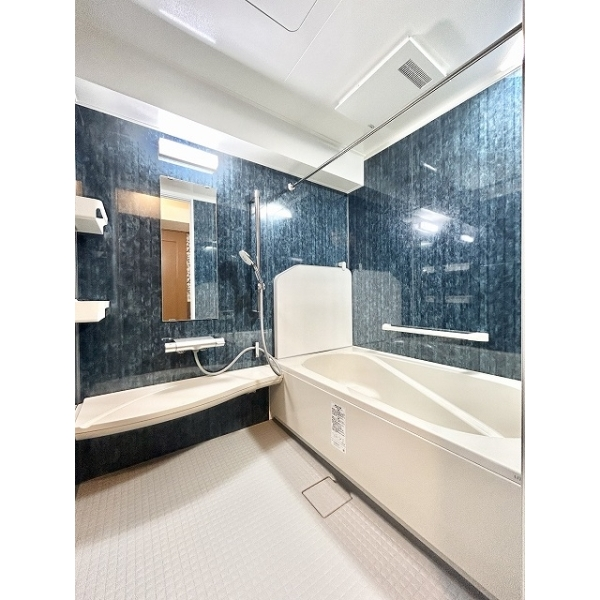 ダイアパレス平塚ステーションスクエア その他画像