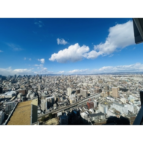 コムズシティ野江Ｄ棟 その他画像