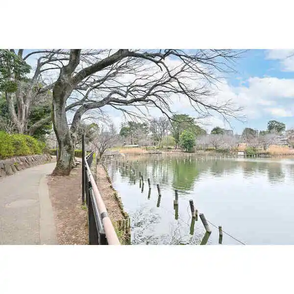 ザ・パークハウス洗足池桜山 その他画像