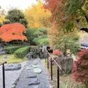 吹田市山田西３丁目 庭