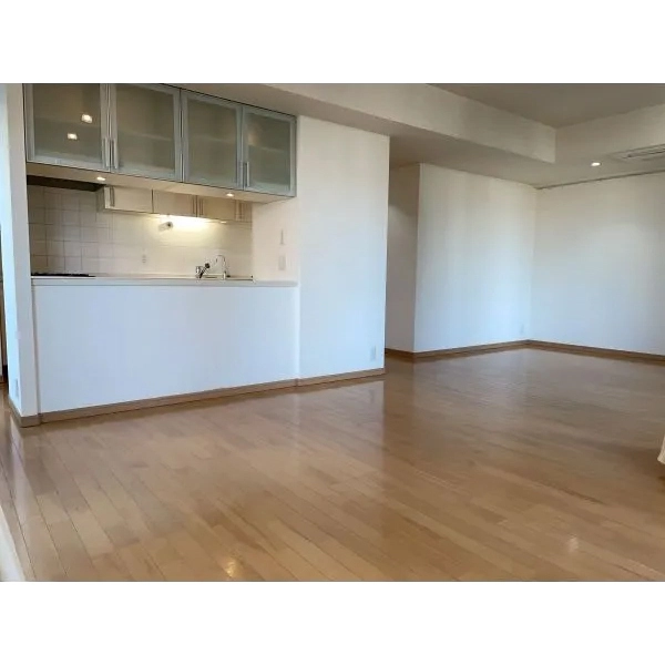 麻布市兵衛町ホームズ LDK