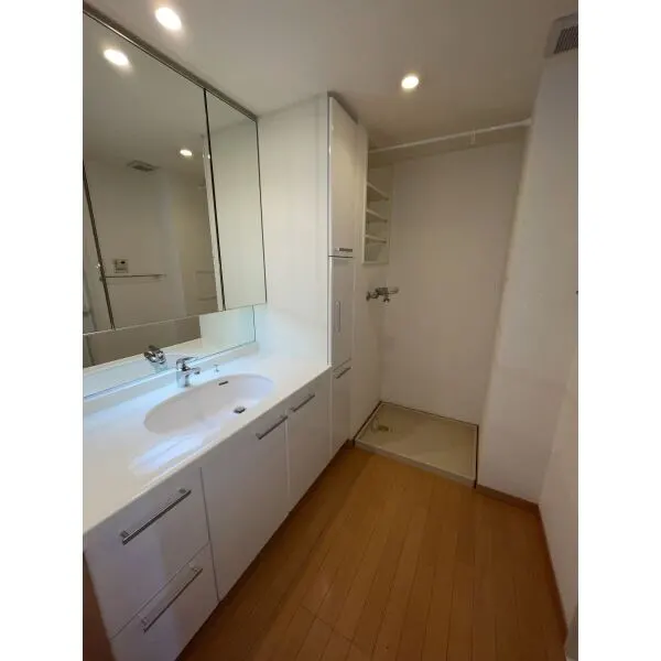 麻布市兵衛町ホームズ 洗面室