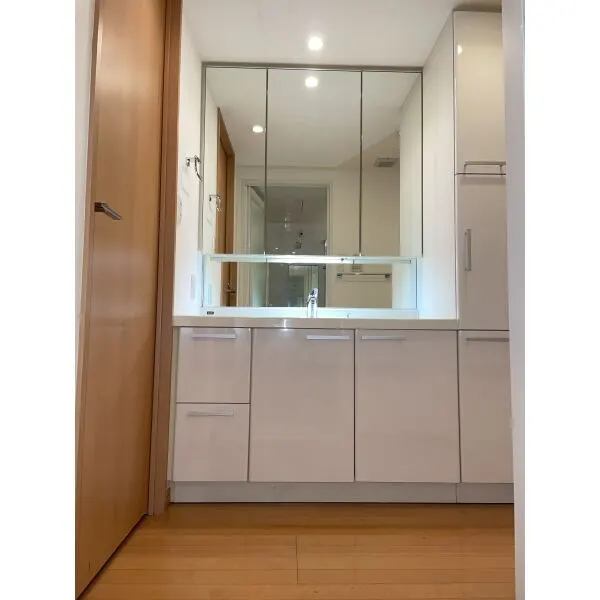 麻布市兵衛町ホームズ 洗面室