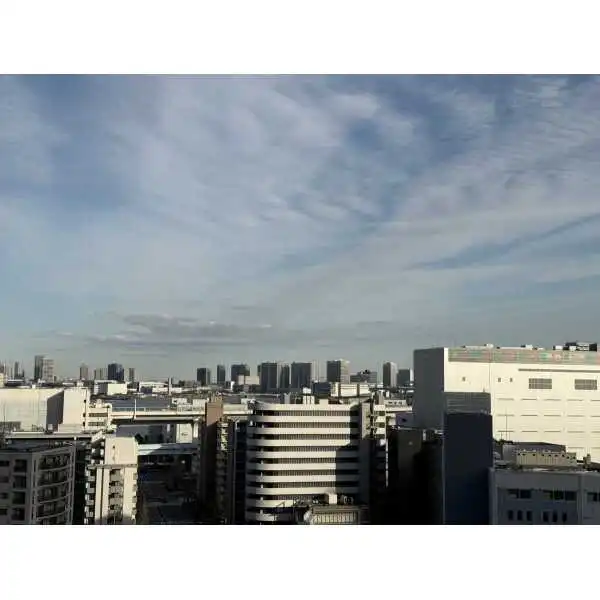 ブランズタワー芝浦 その他画像