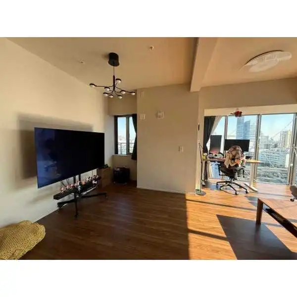 ブランズタワー芝浦 その他画像