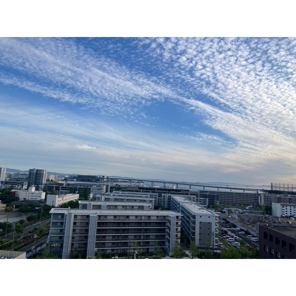 ロイヤルアーク甲子園フローレス その他画像