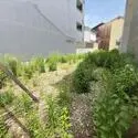 京都市中京区夷川通寺町西入丸屋町 その他画像