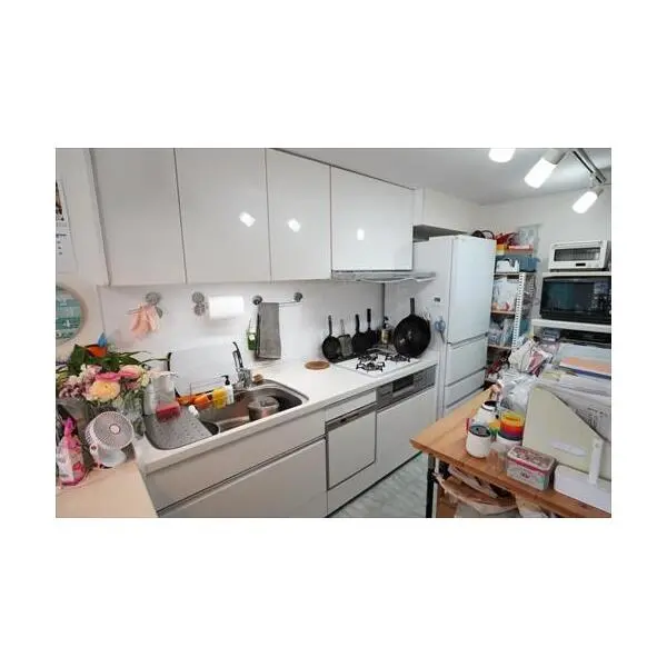 ドルフ青葉台 その他画像