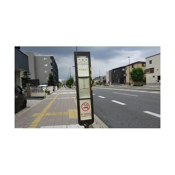 さいたま市大宮区三橋2丁目 中並木バス停 300m