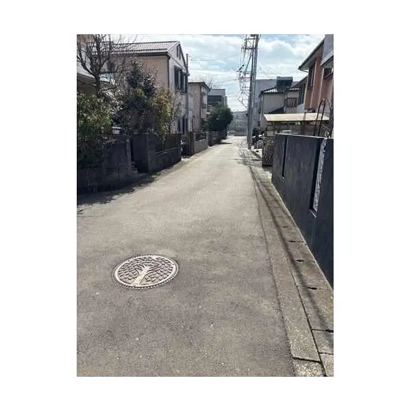 相模原市南区文京2丁目 その他画像