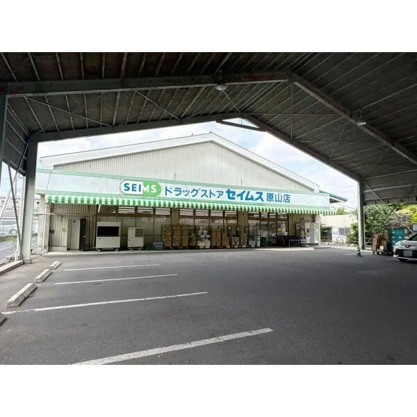 さいたま市緑区原山3丁目 ドラッグセイムス 原山店(ドラッグストア)まで約220m(徒歩3分)