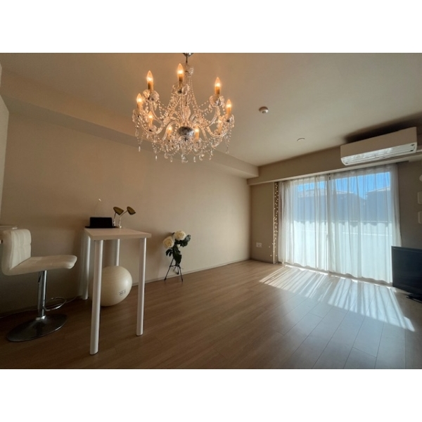 ライオンズ立石レジデンス その他画像