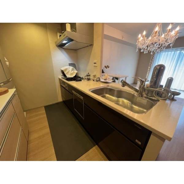 ライオンズ立石レジデンス その他画像