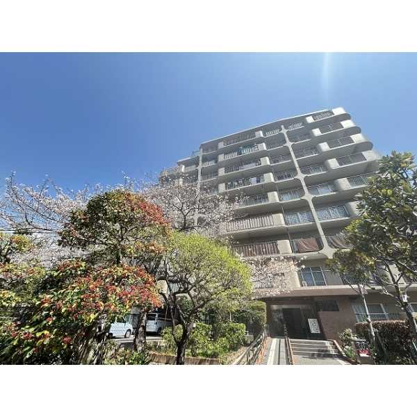 サンハイツ灘 その他画像