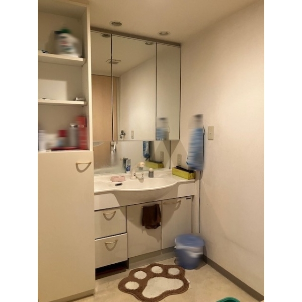 デュオガーデン川口さくらの杜 その他画像