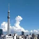 アデニウム浅草 その他画像