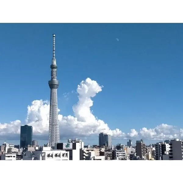 アデニウム浅草 その他画像
