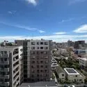 ルイシャトレ相模原 その他画像