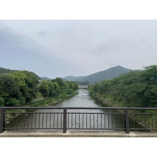 京都市左京区松ケ崎小竹薮町 その他画像