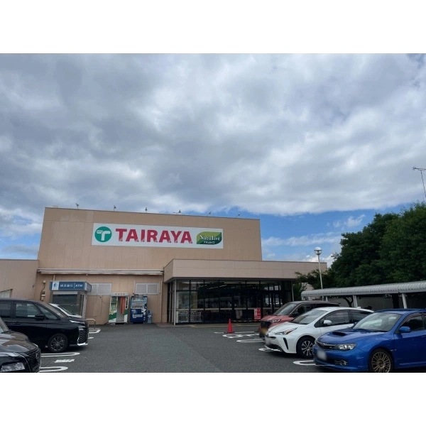 相模原市緑区原宿４丁目 エコスTAIRAYA城山店（スーパー）まで約450m（徒歩6分）