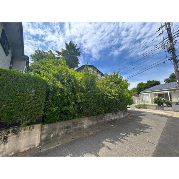 流山市江戸川台東４丁目 その他画像
