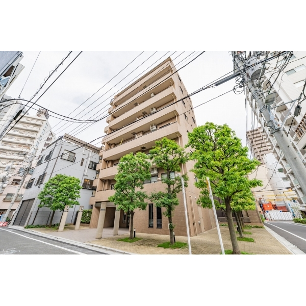 藤和シティコープ入谷 外観